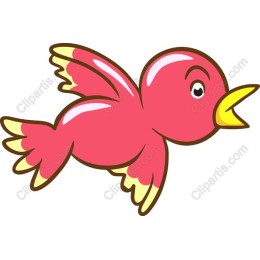Cute Pink Bird