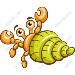 Vibrant Cartoon Hermit Crab