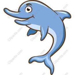 Playful Dolphin