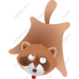 Playful Raccoon