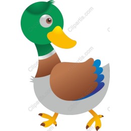 Whimsical Cartoon Duck