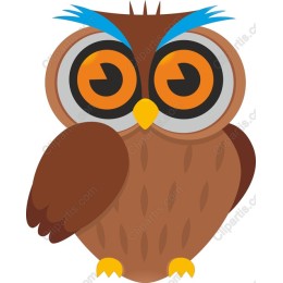 Charming Whimsical Owl