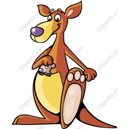 Adorable Kangaroo with Joey