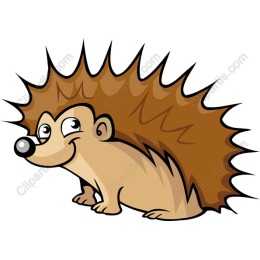 Adorable Hedgehog