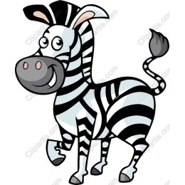 Playful Zebra