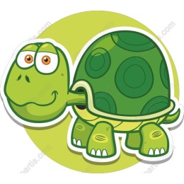 Charming Cartoon Turtle