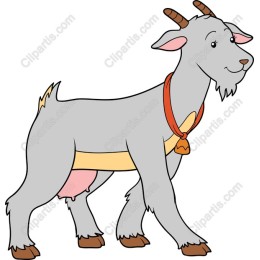 Playful Goat