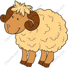 Charming Cute Sheep