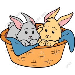 Cozy Bunny Companions