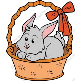Adorable Bunny in Basket
