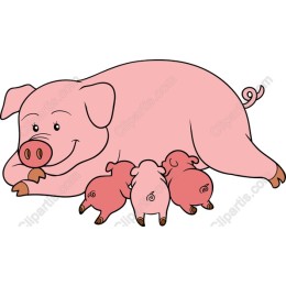 Charming Mother Pig and Piglets