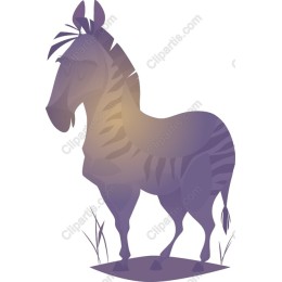 Elegant Zebra