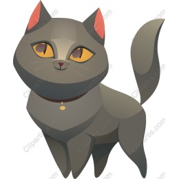 Playful Gray Cat
