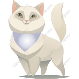 Playful White Cat