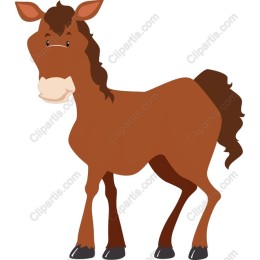Friendly Brown Horse