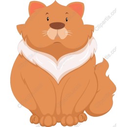 Charming Fluffy Cat