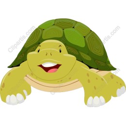 Cheerful Turtle