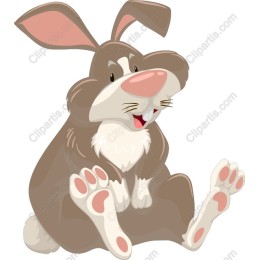 Cheerful Rabbit