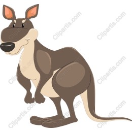 Charming Kangaroo