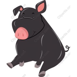 Cute Black Pig