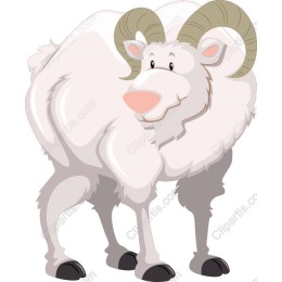 Charming Ram