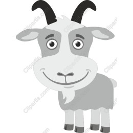 Playful Gray Goat