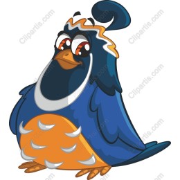 Colorful Cartoon Bird