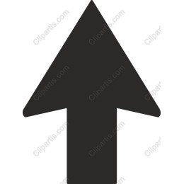 Sleek Arrow Icon