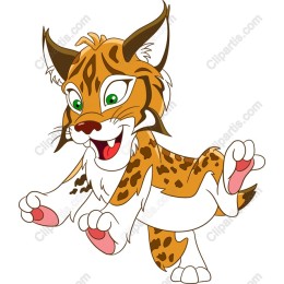 Playful Lynx