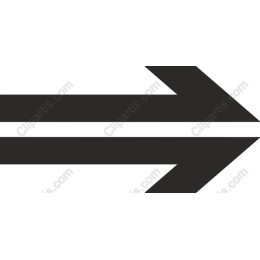 Sleek Arrow