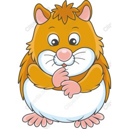 Cute Hamster
