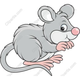 Cartoon Mouse