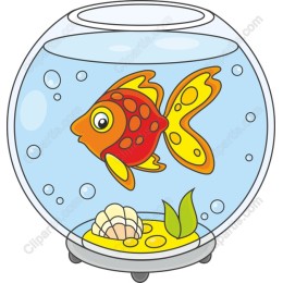 Vibrant Goldfish in Fishbowl