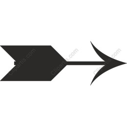 Modern Black Arrow