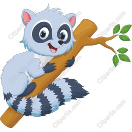Cartoon Raccoon
