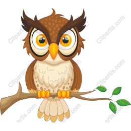 Cartoon Owl