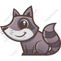 Cute Raccoon