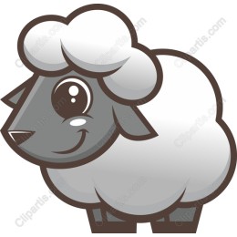 Adorable Grey Sheep