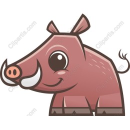 Cheerful Wild Boar