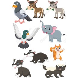 Animal Clipart Set - Bundle