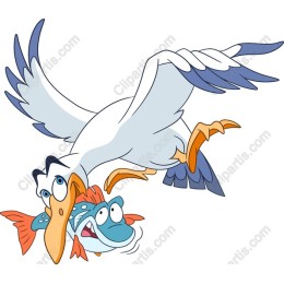 Playful Seagull and Fish