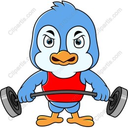 Fitness Bird