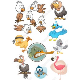 Birds Bundle - Whimsical Cartoon