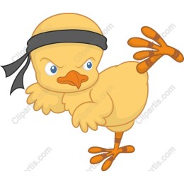 Ninja Chick