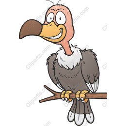 Cartoon Vulture