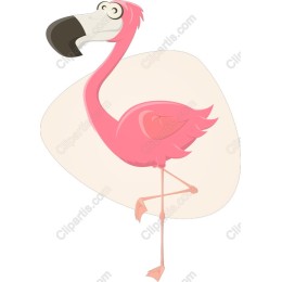 Playful Pink Flamingo
