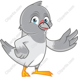 Charming Cartoon Pigeon