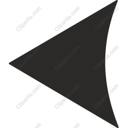 Sleek Black Arrow