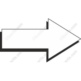 Premium Arrow
