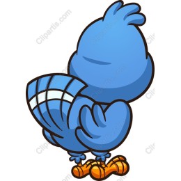 Playful Blue Bird